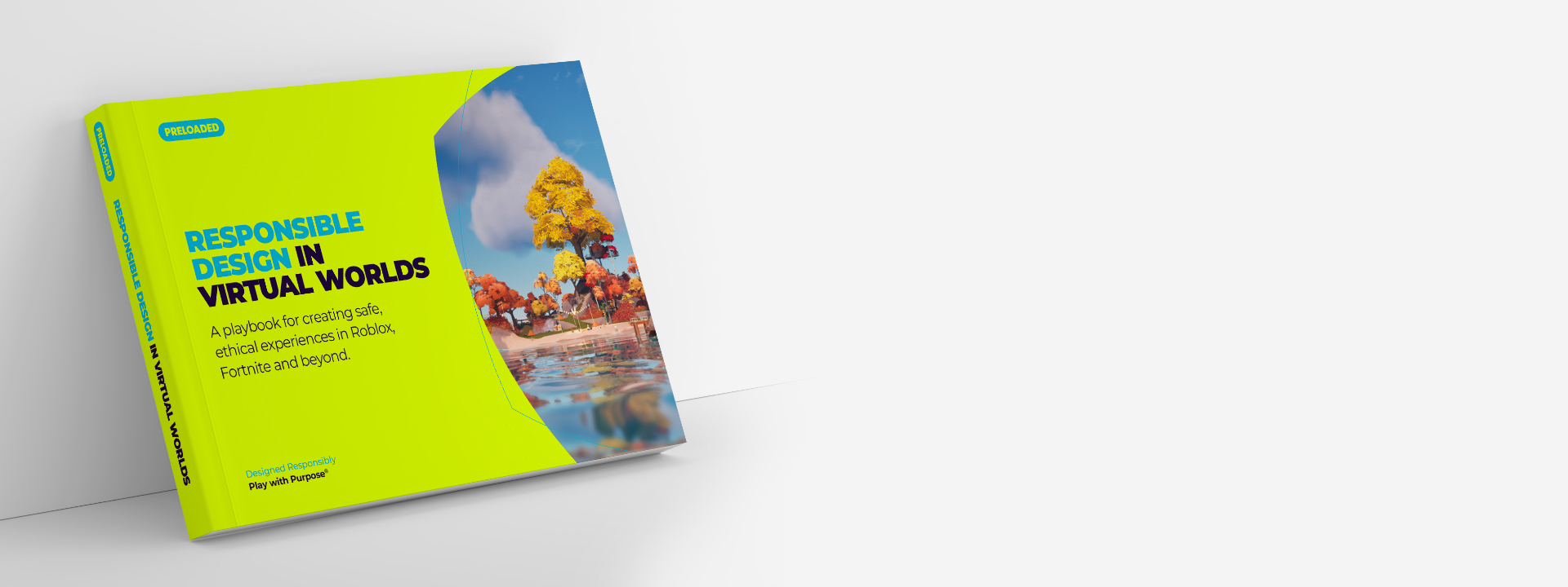 Some text about the image